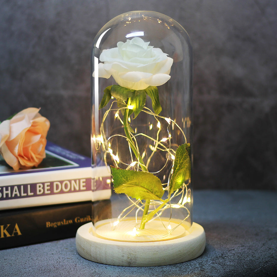 Rose in Glass LED Light