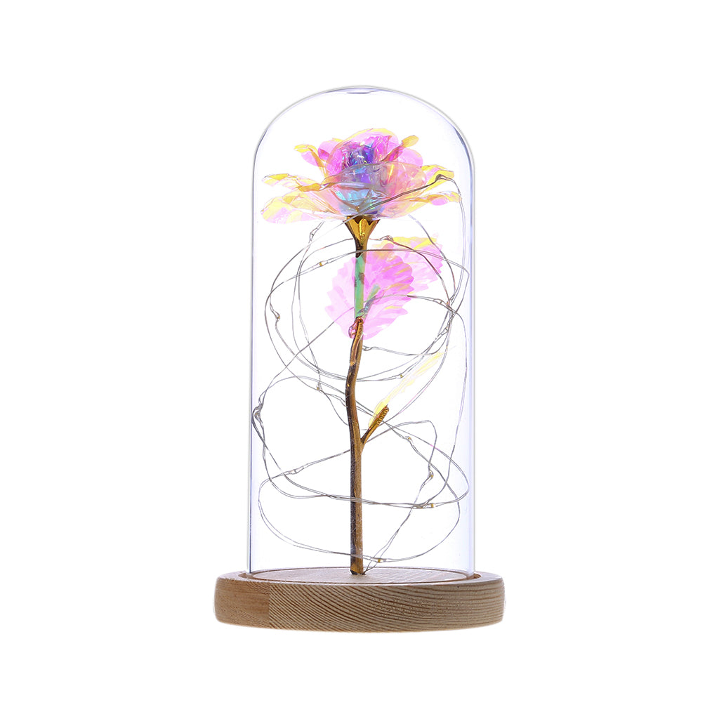 Rose in Glass LED Light
